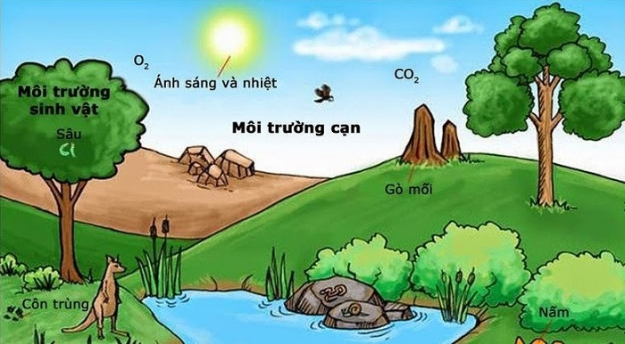 Ô nhiễm môi trường  Nguyên nhân hậu quả và Giải pháp bảo vệ